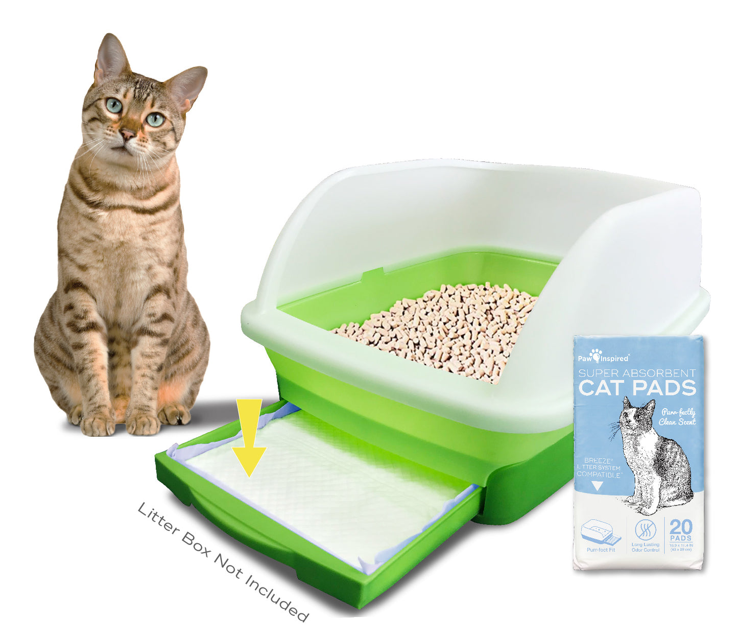 Cat Pads
